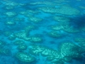 Great Barrier Reef, Queensland, Australia